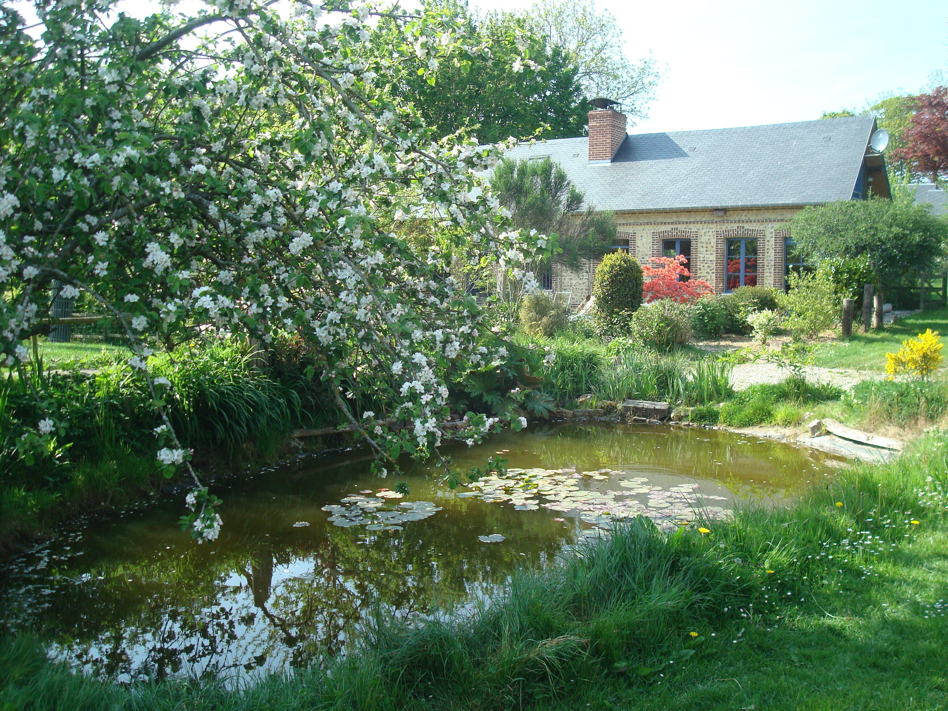 Área da propriedade