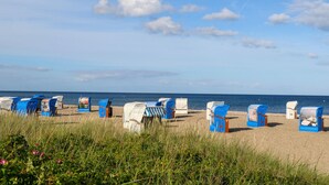 A beach with rows of blue and white beach chairs and umbrellas, arranged in a line facing the sea. - Pet friendly home in OstseeResort Olpenitz with sauna (OstseeResort Olpenitz)