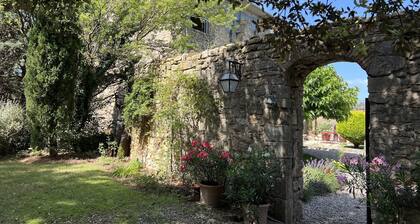SUN, CICADAS AND CHÂTEAU LIFE