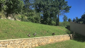 Un muro di sostegno in pietra con un pendio erboso e alberi sullo sfondo.