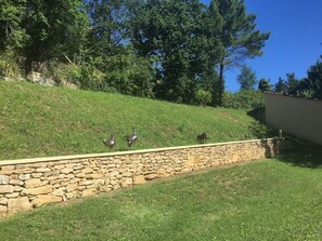 Surrounded by lush trees and greenery, this serene outdoor space features a stone wall and a grassy slope with bird sculptures and a small animal figure.