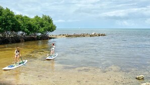 To personer står på paddleboards på et roligt vandareal med en klippefyldt kystlinje og frodig grøn vegetation til venstre.