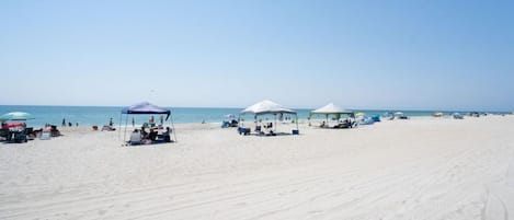 Playa en los alrededores y camastros