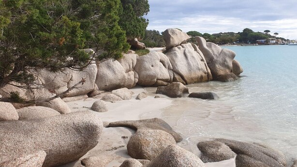 A rocky shoreline with clear water and a backdrop of trees and buildings.