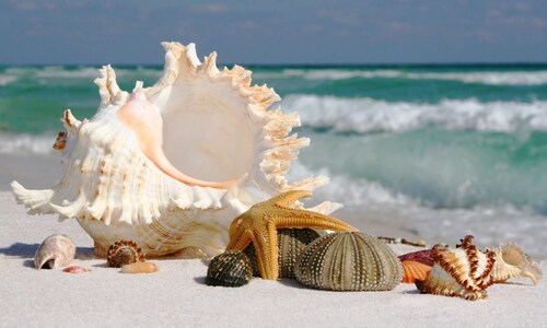 Appartamento,spiaggia