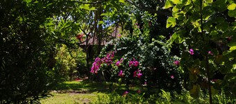 Kirana Homestay - Dusk Bungalow - a beautifull place for amazing vacations