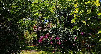 Kirana Homestay - Dusk Bungalow - a beautifull place for amazing vacations