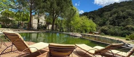 A wooden deck with lounge chairs overlooking a pool and a forested hillside.