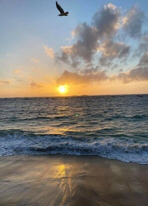 Ubicación a pie de playa