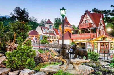 Relaxing & Picturesque Gem ~ Game Room ~ View ~ EV