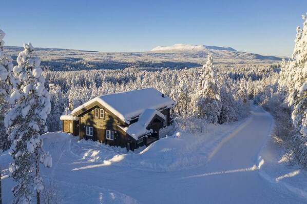 Udendørsområde