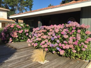 Exterior detail - VILLA BIDAOUS 4*-heated pool, table tennis, 3 bicycles, real table football-Messanges (Messanges)