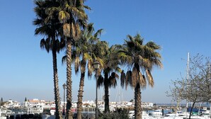 Un puerto deportivo con barcos, palmeras y una zona de cafetería con mesas al aire libre.