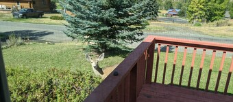 Splendid Absaroka Mountain and Greybull River View