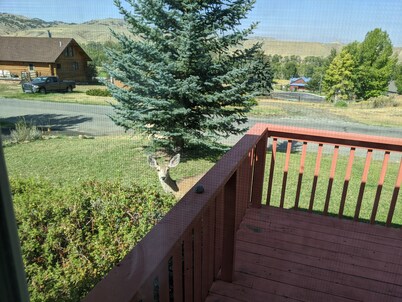Splendid Absaroka Mountain and Greybull River View