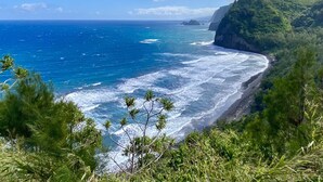 A coastal landscape with a beach, ocean, and forested cliffs. - Island Therapy - Walk to A-Bay, Shops & Dining - Golf Views - Sleeps 6 (Waikoloa)