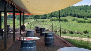 An outdoor seating area with tables and barrels, overlooking a vineyard. - Winter in the mountains, fishing by the fire pit. Murphy and the Casino nearby. (Murphy)