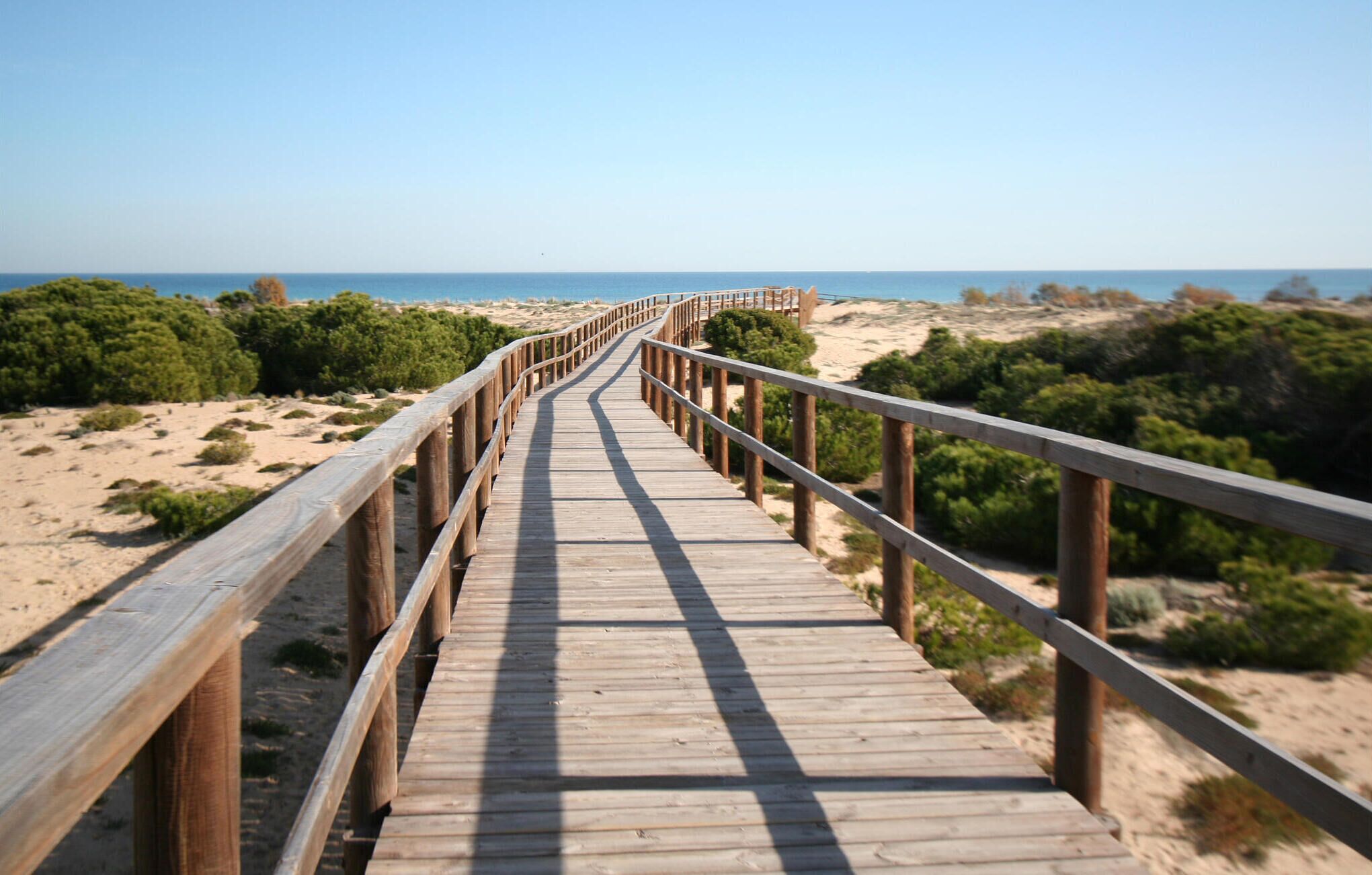 Playa en los alrededores 