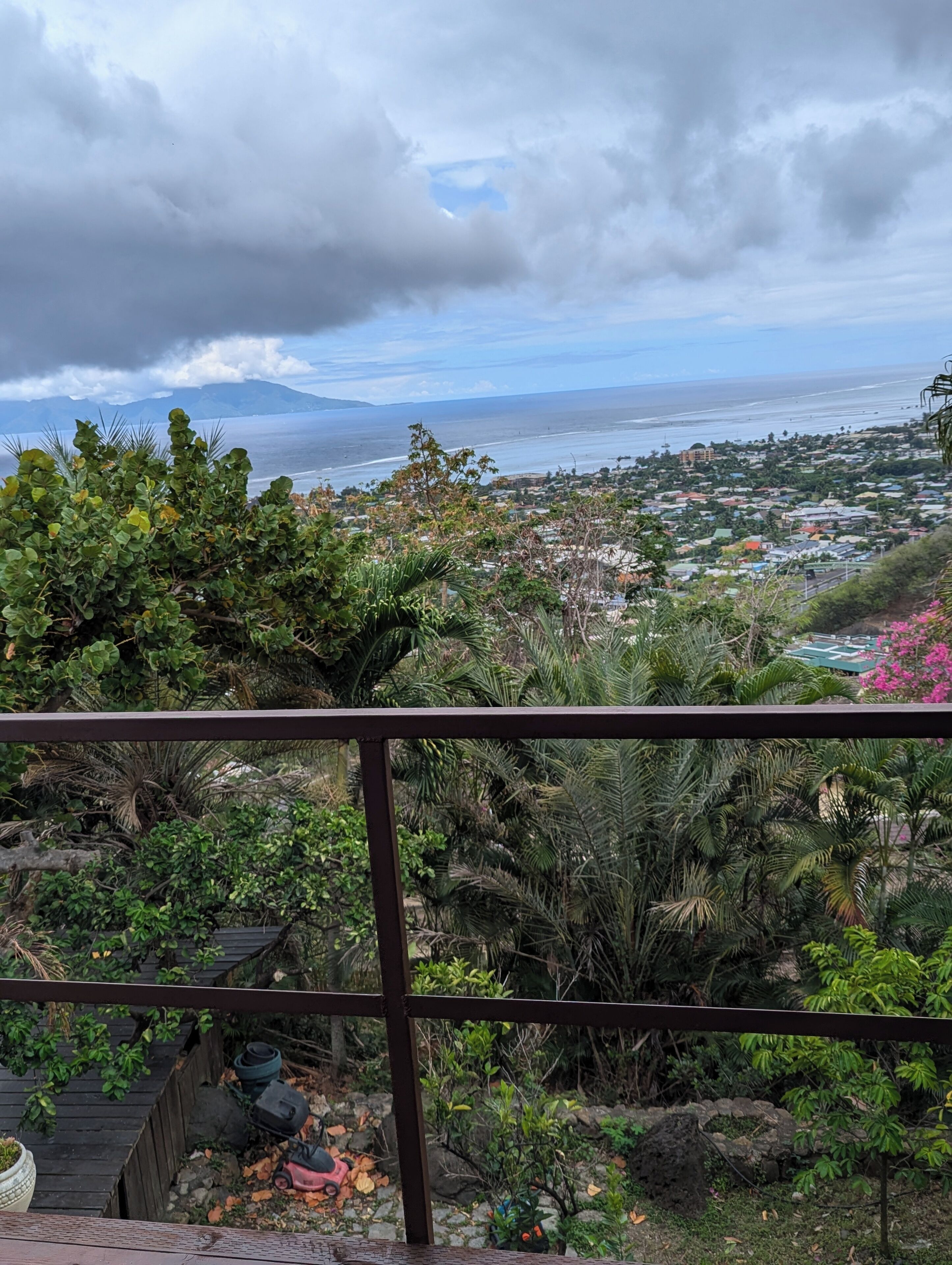 A coastal view with lush greenery and a distant beach.