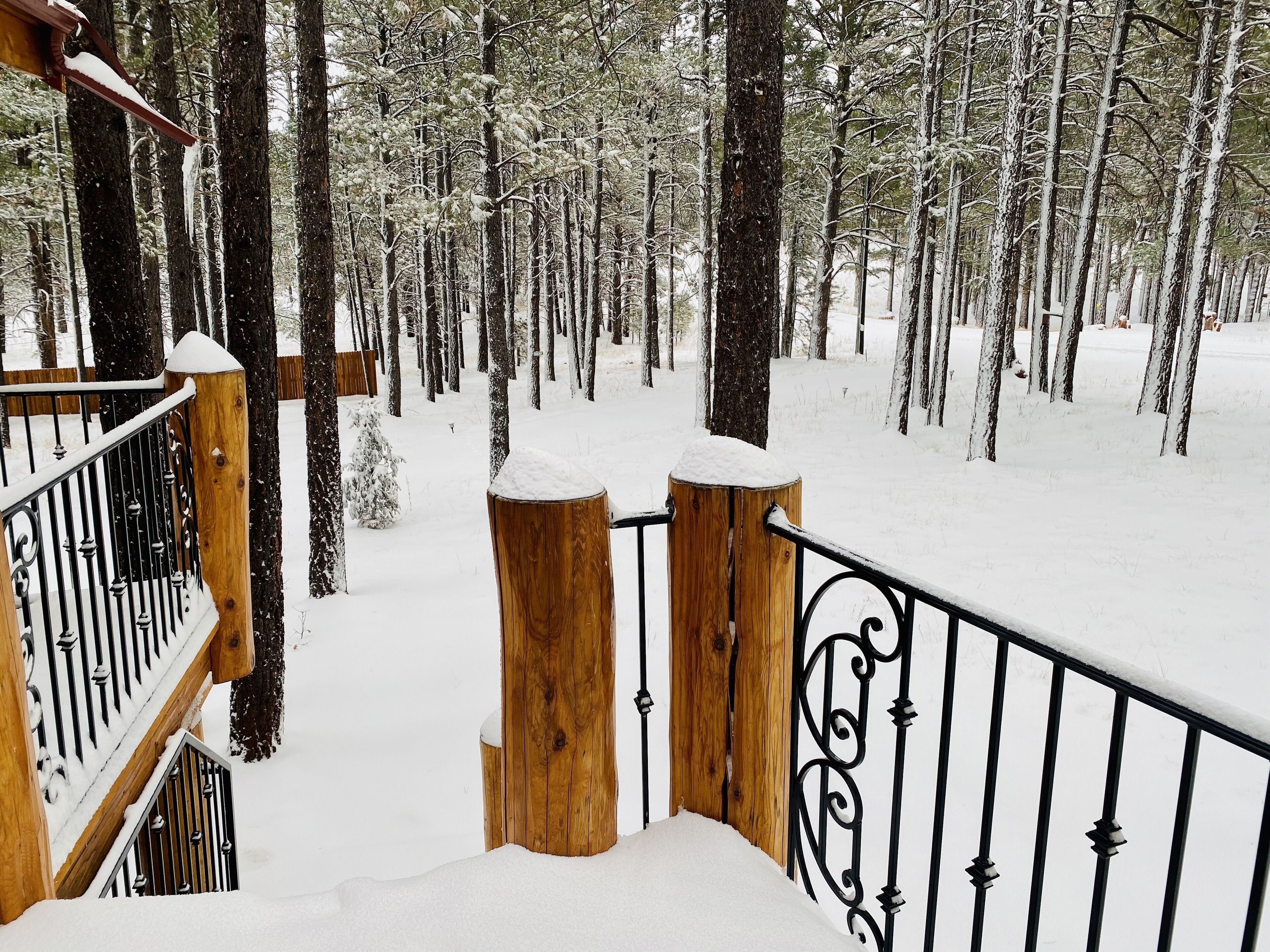 A wooden staircase with a metal railing leading to a deck surrounded by snow-covered trees.