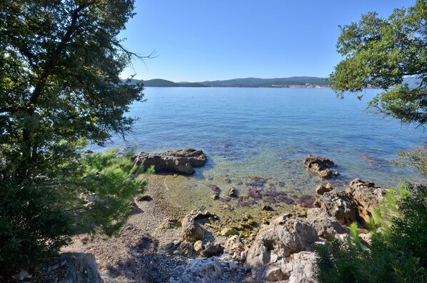 A rocky shoreline with clear water and distant hills.