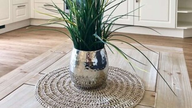 A modern kitchen with white cabinets, a stainless steel range hood, and a large potted plant on a woven mat. - Möwennest N°3 - Ground floor apartment with fantastic sun terrace and garden. (Grömitz)