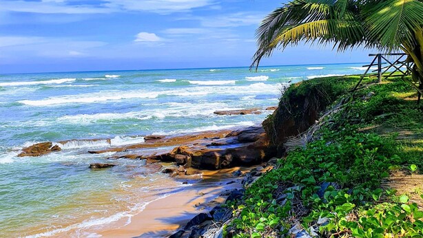 Una playa con agua azul cristalina, costa rocosa y abundante vegetación.
