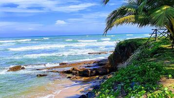 Kamar, 1 kamar tidur, Boleh Merokok, balkon | Eksterior