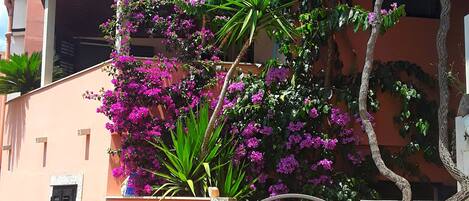 Appartamento (Comfort One Bedroom Apartment) | Esterni