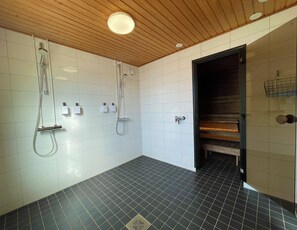 Sauna seca