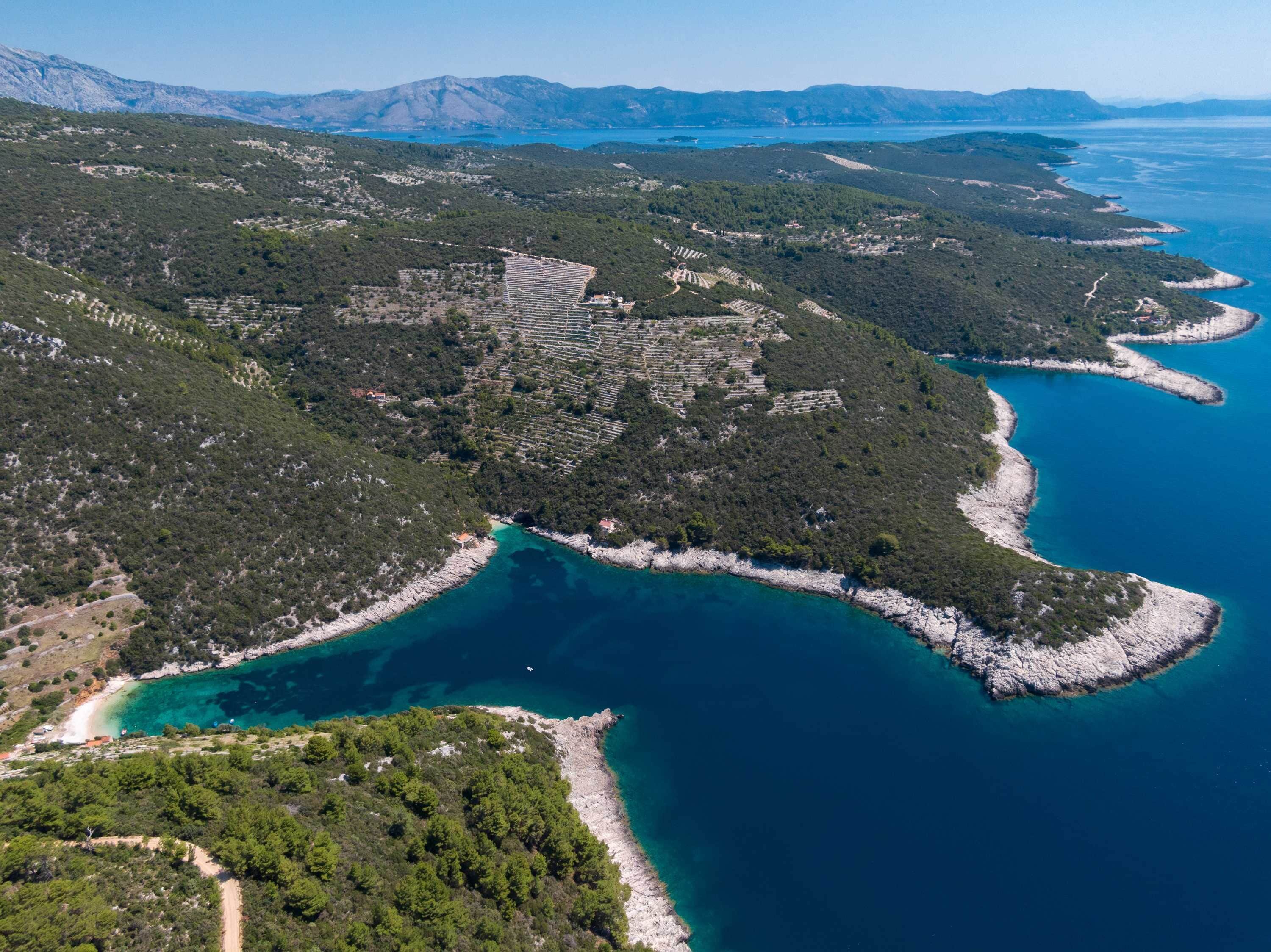 Vue aérienne d’une zone côtière avec des vignobles en terrasses, des eaux d’un bleu limpide et, au loin, un paysage montagneux.