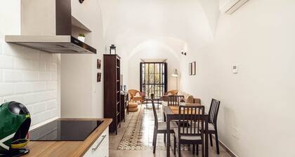 103 Roomy Plaza - Apartments Plaza Mayor 35