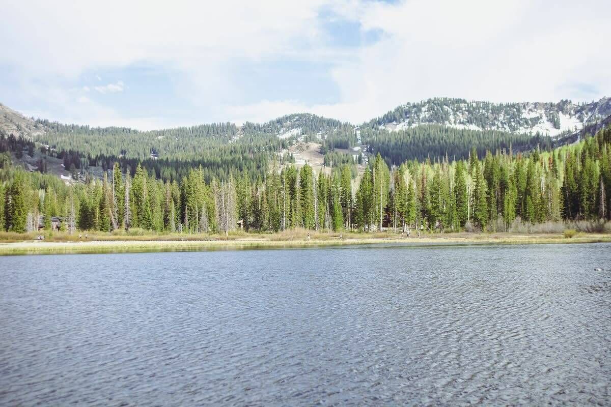 A lake with a forested mountain backdrop.