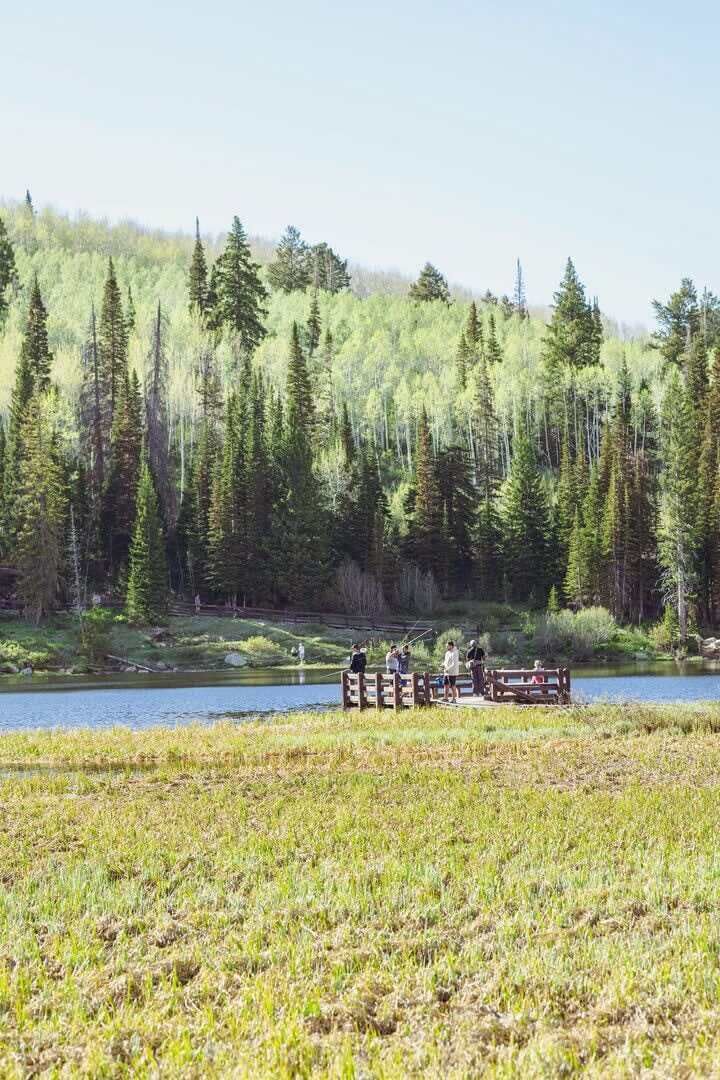 A natural landscape with a lake, forest, and a wooden dock with people.