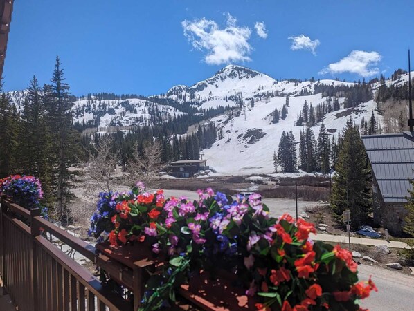 A mountain view with a wooden deck and colorful flowers in the foreground.