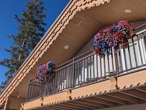 A building with a balcony featuring decorative flower baskets.