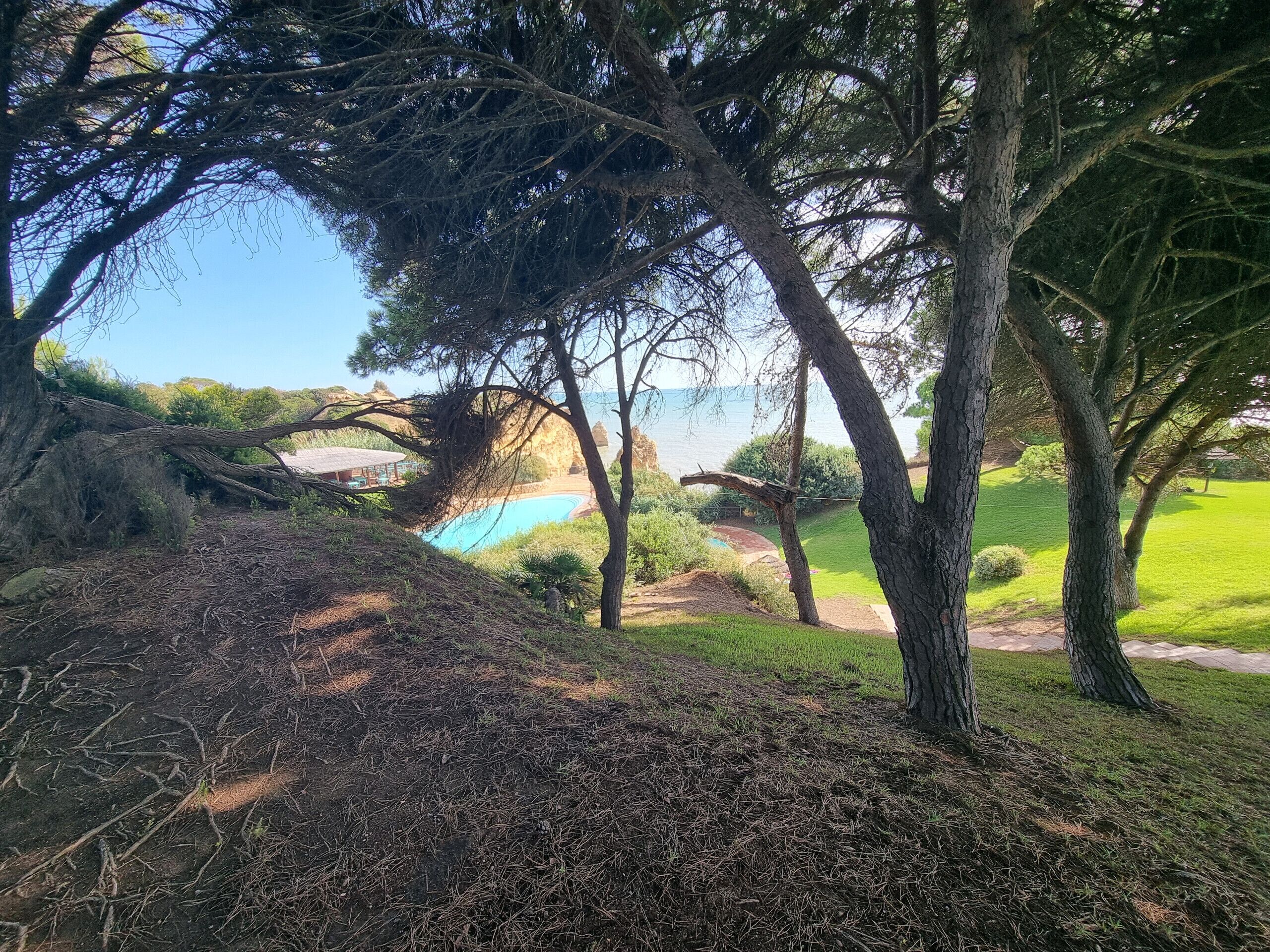 Área da propriedade