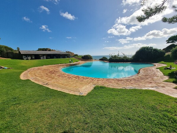 A swimming pool with a curved edge, surrounded by a brick deck and green grass.
