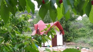 A rustic building with a red roof, surrounded by lush greenery and cherry trees.