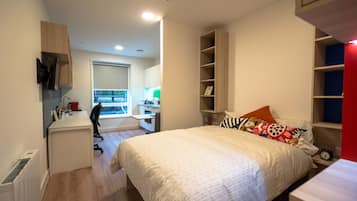 Luxury Studio Suite