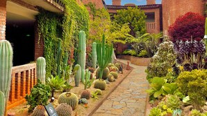 Une cour avec un bâtiment en briques, un chemin de pierre et diverses espèces de cactus et de plantes succulentes.