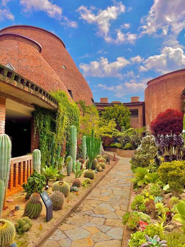 Un patio con un edificio de ladrillo, un camino de piedra y diversos cactus y suculentas.