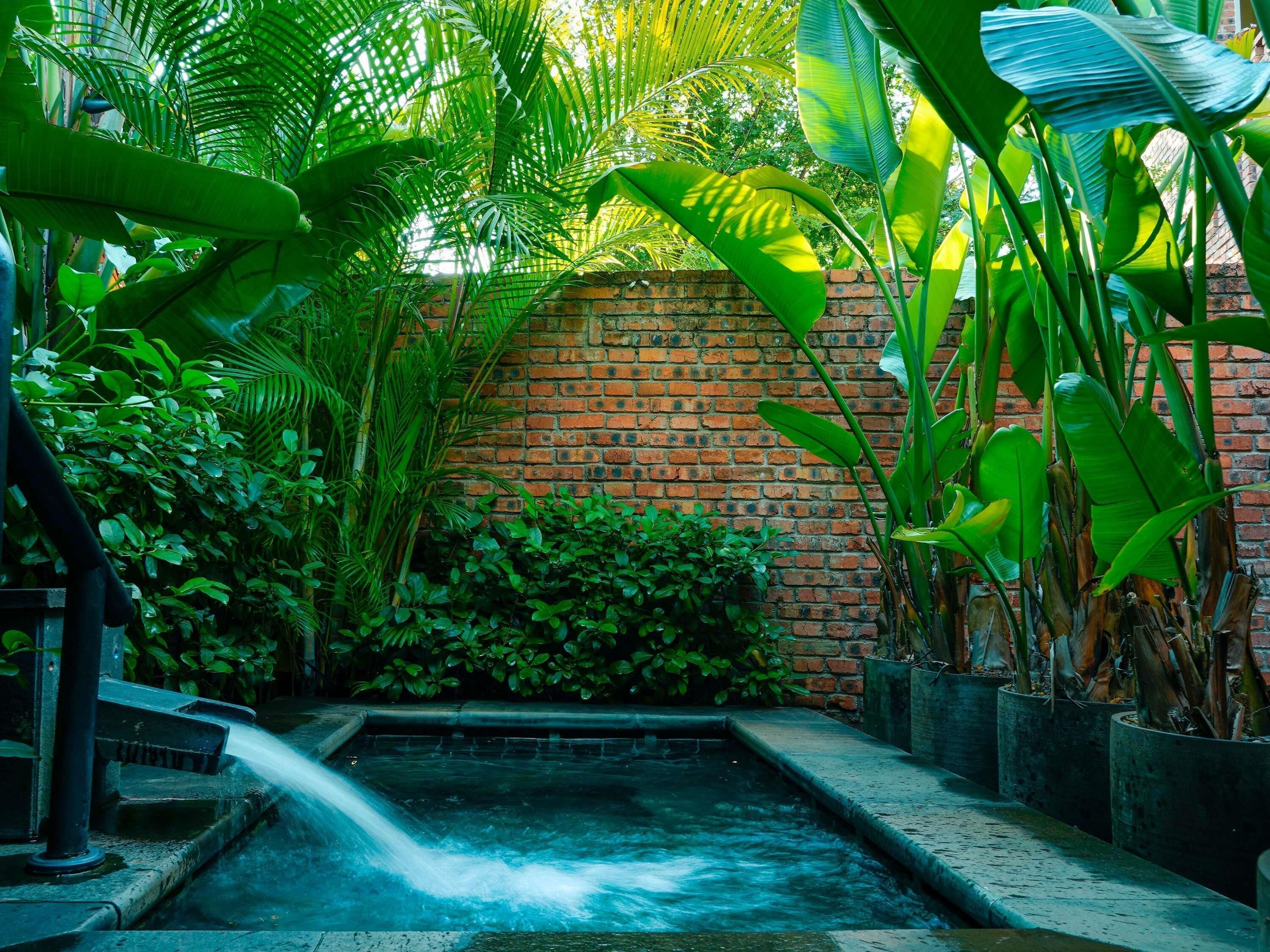 A water feature with a brick wall and lush tropical plants.
