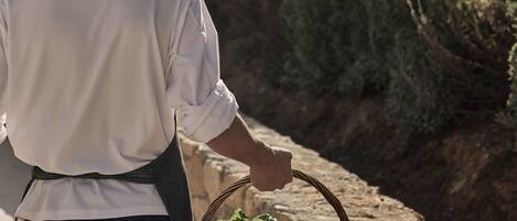 A person in a white shirt and black apron holding a wicker basket filled with vegetables.