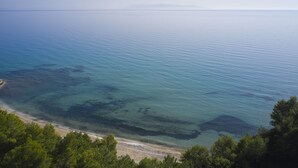 Paisagem costeira com águas cristalinas, uma praia de areia e vegetação densa em primeiro plano.