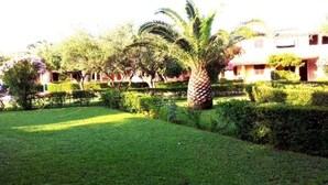 Un jardín bien cuidado con una palmera, setos ordenados y un edificio con múltiples ventanas al fondo.