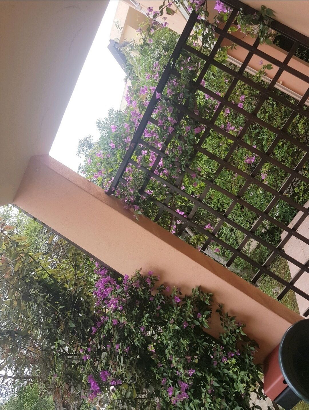 A balcony with a metal railing, surrounded by lush greenery and purple flowers.