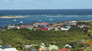 Una zona residencial costera con casas, una playa y barcos en el agua.