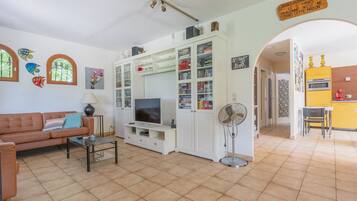 Télévision, cheminée, lecteur de DVD