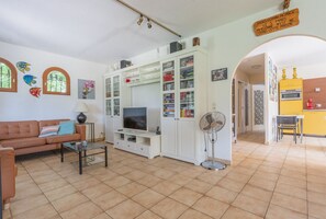 テレビ、暖炉、DVD プレーヤー